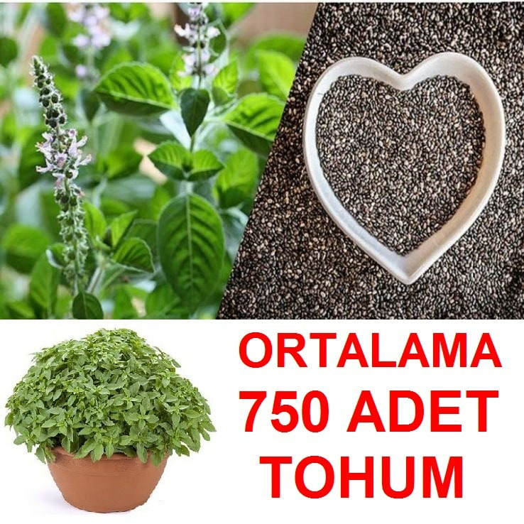 Top Reyhan Fesleğen Tohumu (750 Adet)