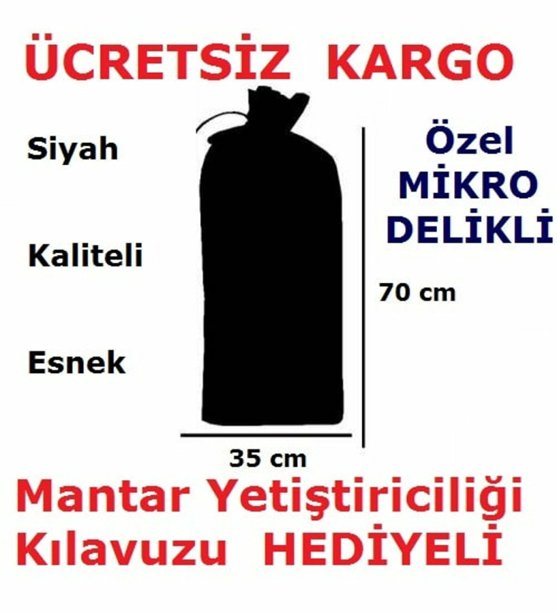 100 Adet Siyah Mikrodelikli İstiridye Kavak Mantarı Ekim Poşeti 