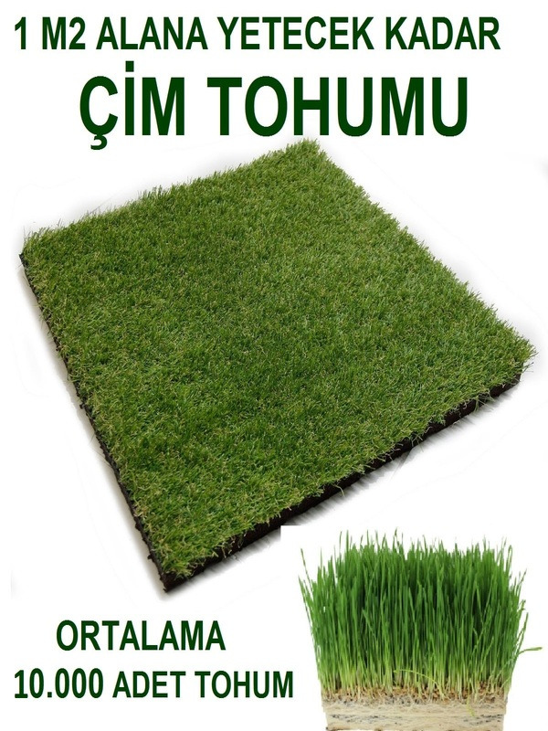 Çim Tohumu (1M2 Alana Yetecek Kadar)