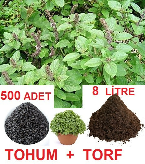 1 Paket Fesleğen Reyhan Tohumu Ve 8 Litre Ekim Torfu