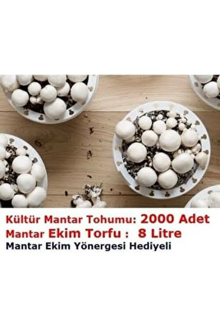 Beyaz Kültür Mantar Tohumu Ve Ekim Torfu