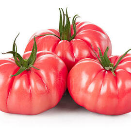 Köylü Domatesi Ata Tohumu (5000 Adet)
