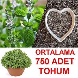 Top Reyhan Fesleğen Tohumu (750 Adet)