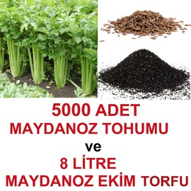 5000 Adet Maydanoz Tohumu Ve 8 Litre Ekim Torfu