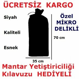 100 Adet Siyah Mikrodelikli İstiridye Kavak Mantarı Ekim Poşeti 