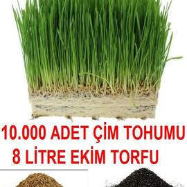 10.000 Adet Çim Tohumu Ve 8 Litre Ekim Torfu