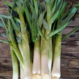 Organik Pırasa 500 Gr