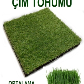 Çim Tohumu (1M2 Alana Yetecek Kadar)