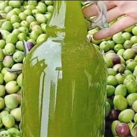 Soğuk Sıkım Katkısız Zeytinyağı  - Mustafaoğlu Zeytinyağları