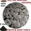 Beyaz Kültür Mantar Tohumu Ve Ekim Torfu - 2