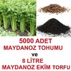 5000 Adet Maydanoz Tohumu Ve 8 Litre Ekim Torfu