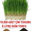 10.000 Adet Çim Tohumu Ve 8 Litre Ekim Torfu