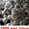 Beyaz Şapkalı Kültür Mantarı Tohumu (2000 Adet)