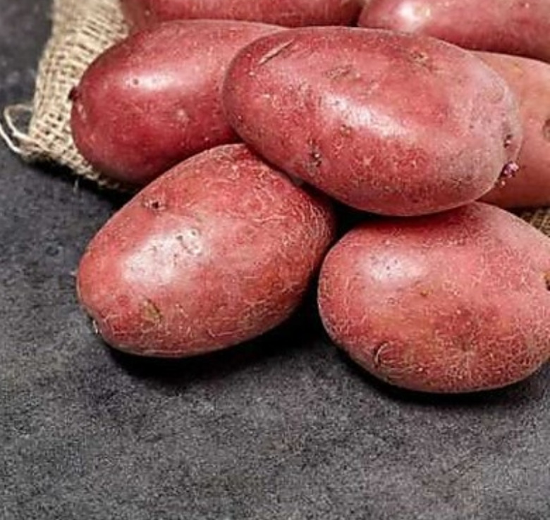 Bolu Kırmızı Köy Patatesi