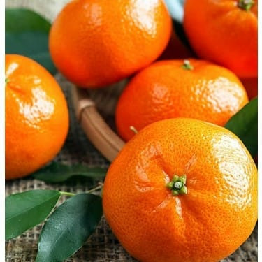 W.murcott Mandarin Fidani