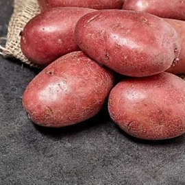 Bolu Kırmızı Köy Patatesi