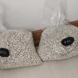 Kuru Fasülye Dermason