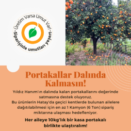 Dalından Konteyner Kentlere Washington Portakal (3 Kasa) - Korukoğlu Organik 