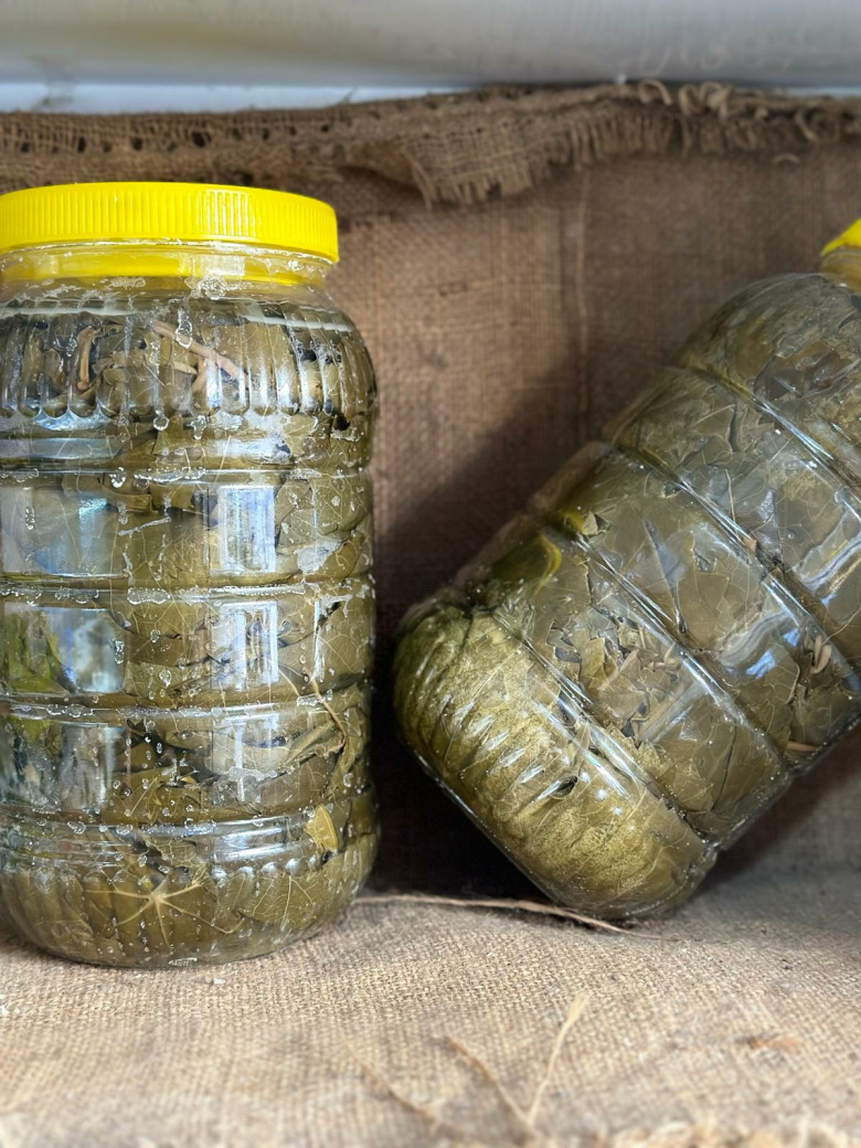 Salamura Asma Yapraği -El Yapimi