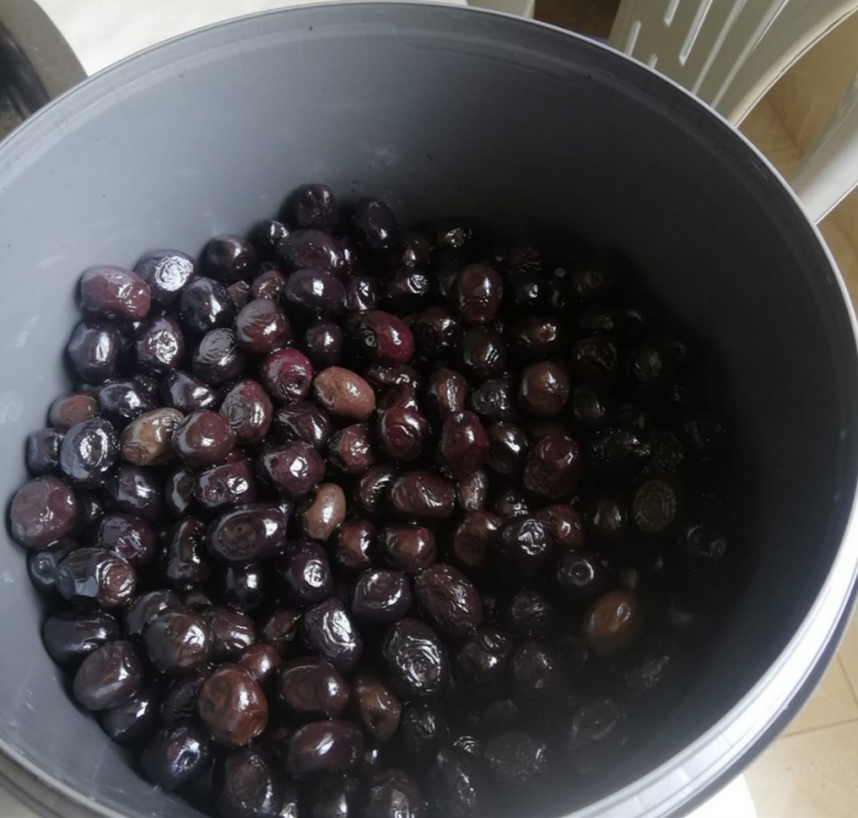 Siyah Sele Zeytin