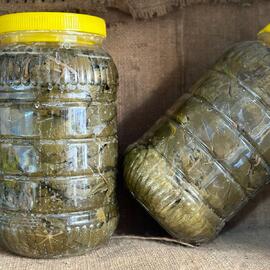 Salamura Asma Yapraği -El Yapimi