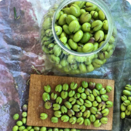 Kırma Zeytin (5 Lik Bidon)