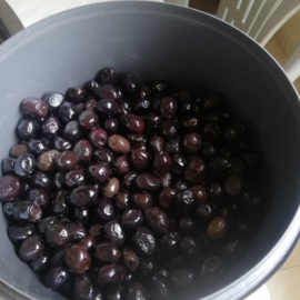 Siyah Sele Zeytin