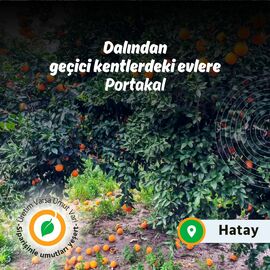 Portakal-Dalından Konteyner Kentlere - Korukoğlu Organik 