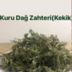 Dağ Kekiği (Zahter)