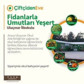 Fidanlarla Okulun Bahçesini Yeşert