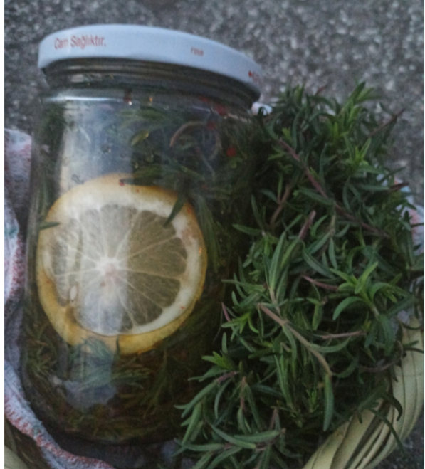 Zeytinyağlı Salamura Kekik (800 Gr)