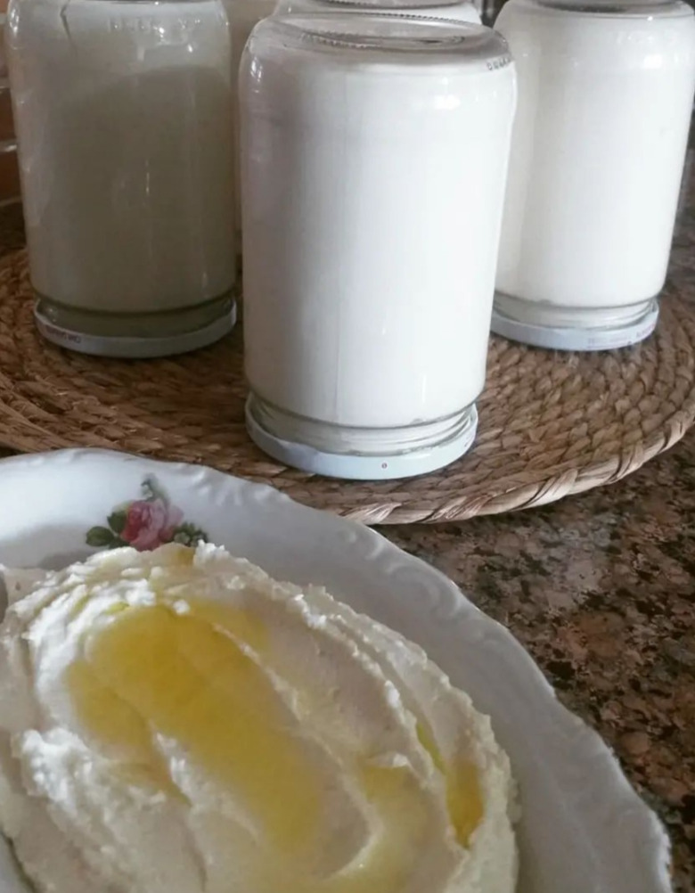 Tuzlu Yoğurt)660 Gr)