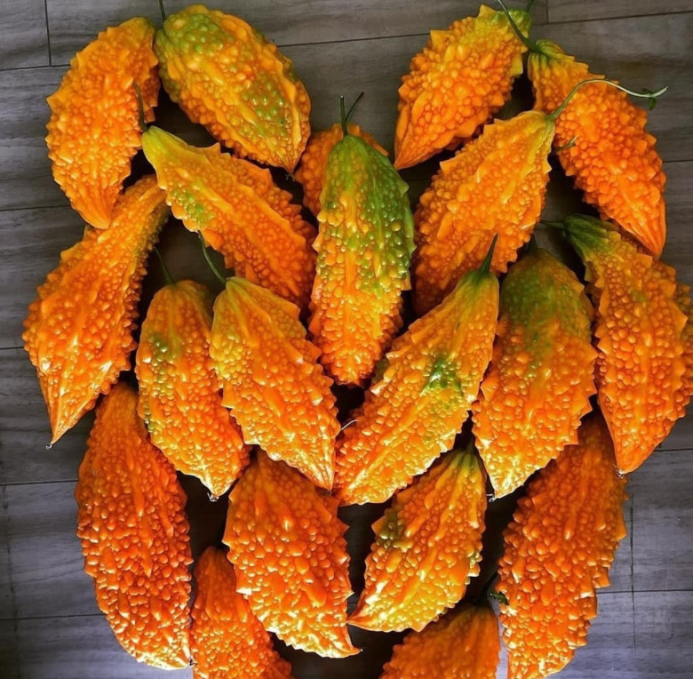 Kudret Narı Tohumu 30 Adet 