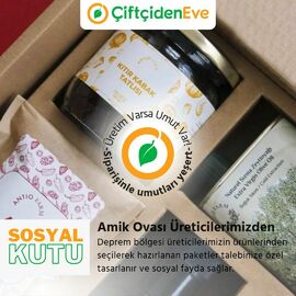 Sosyal Kutu - Amik Ovası