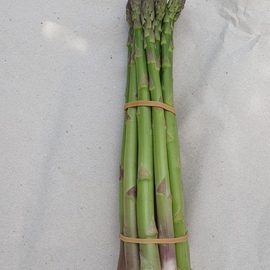 Taze Kuşkonmaz 500 Gr.