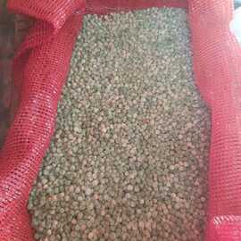 Organik Bezelye Tohumu (Ata Tohumu 100 Gram)