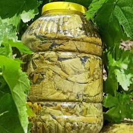 Salamura Asma Yaprağı (5 Lik Bidon)