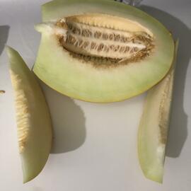 (Ata Tohumu) Mut Kavunu Tohumu 1 Paket (10 Adet)