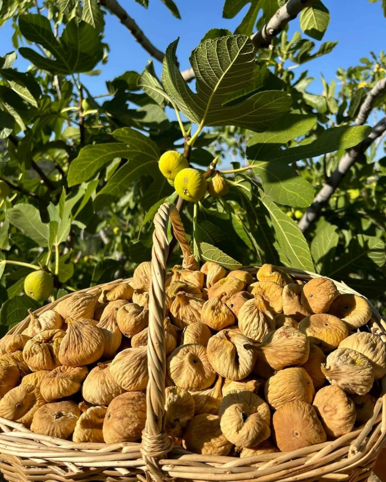 Organik Kuru Dağ İnciri 3Kg