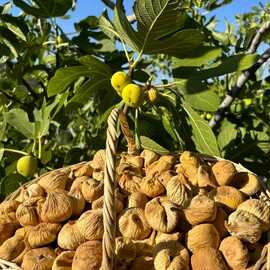 Organik Kuru Dağ İnciri 3Kg