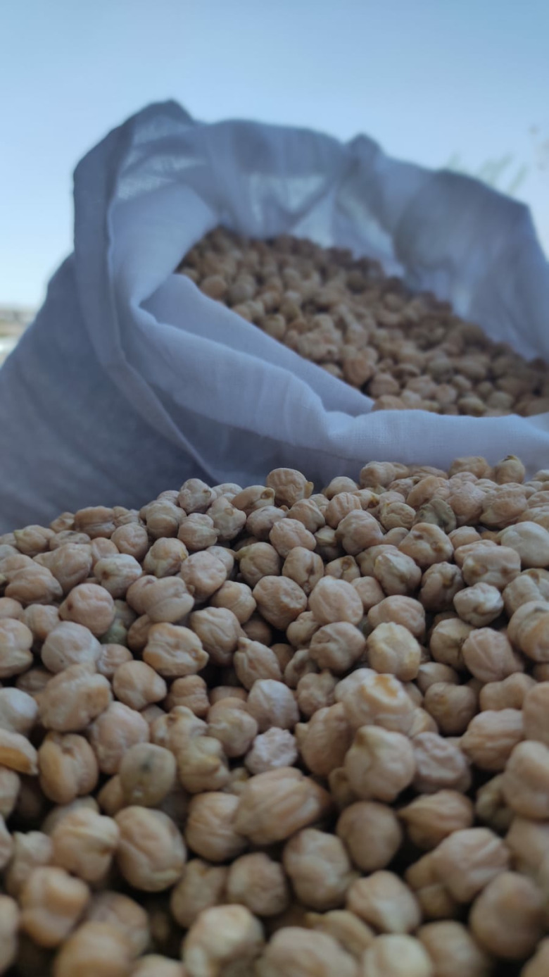 Mardin Atatohum Nohut 1 Kg