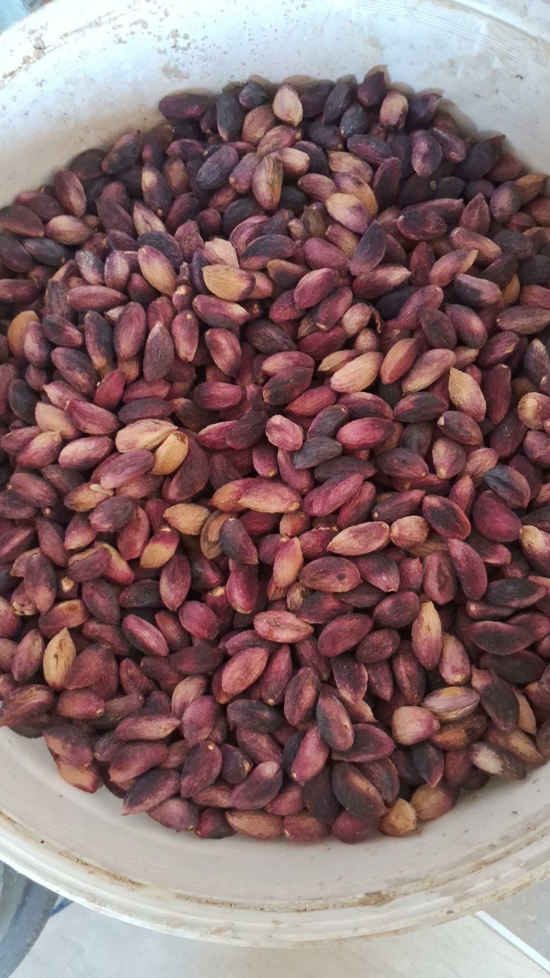 Kurutulmuş Taze Antep Fıstığı