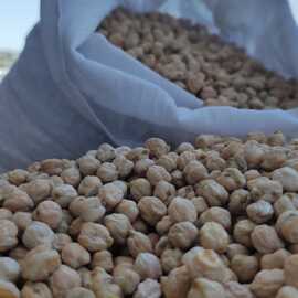 Mardin Atatohum Nohut 1 Kg