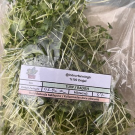 Turp Mikro Yeşillik
