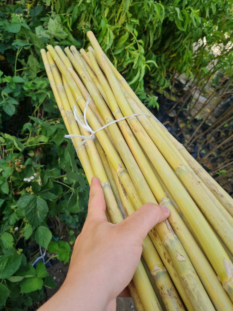 Bahçe Ve Bitki Destek Çubuğu (25 Adet - 1.5 Metre)