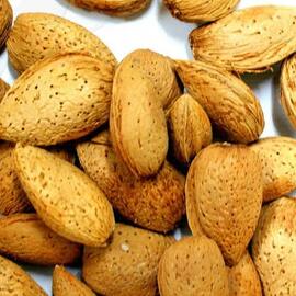 Ferragnes Organik Badem 