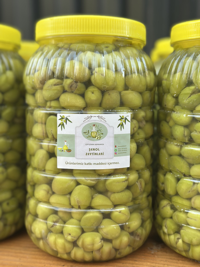 Gemlik Kırma Zeytin