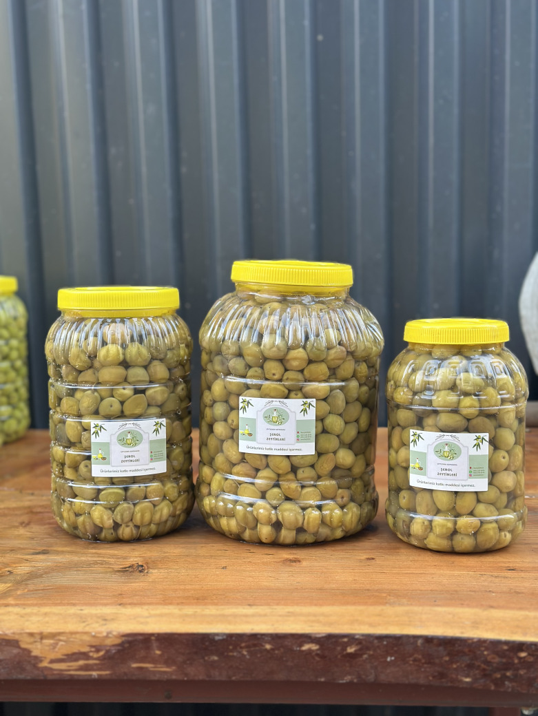 Gemlik Yeşil Zeytin