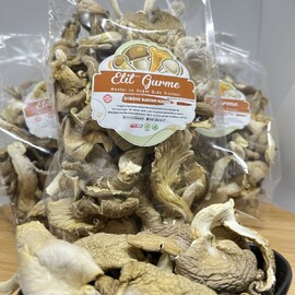 İstiridye Mantarı Kurusu