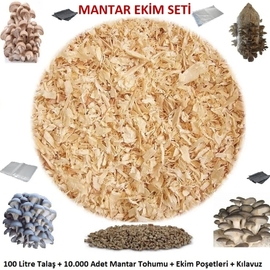 İstiridye Mantarı Ekim Seti